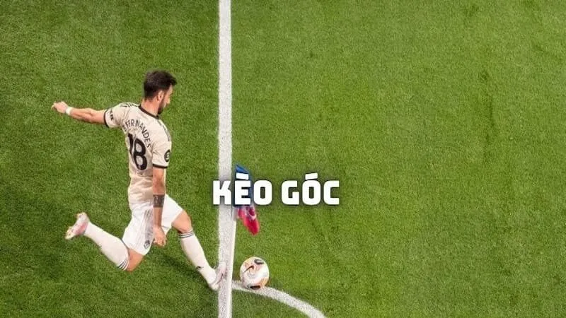 Cách đọc kèo phạt góc chi tiết và chính xác nhất